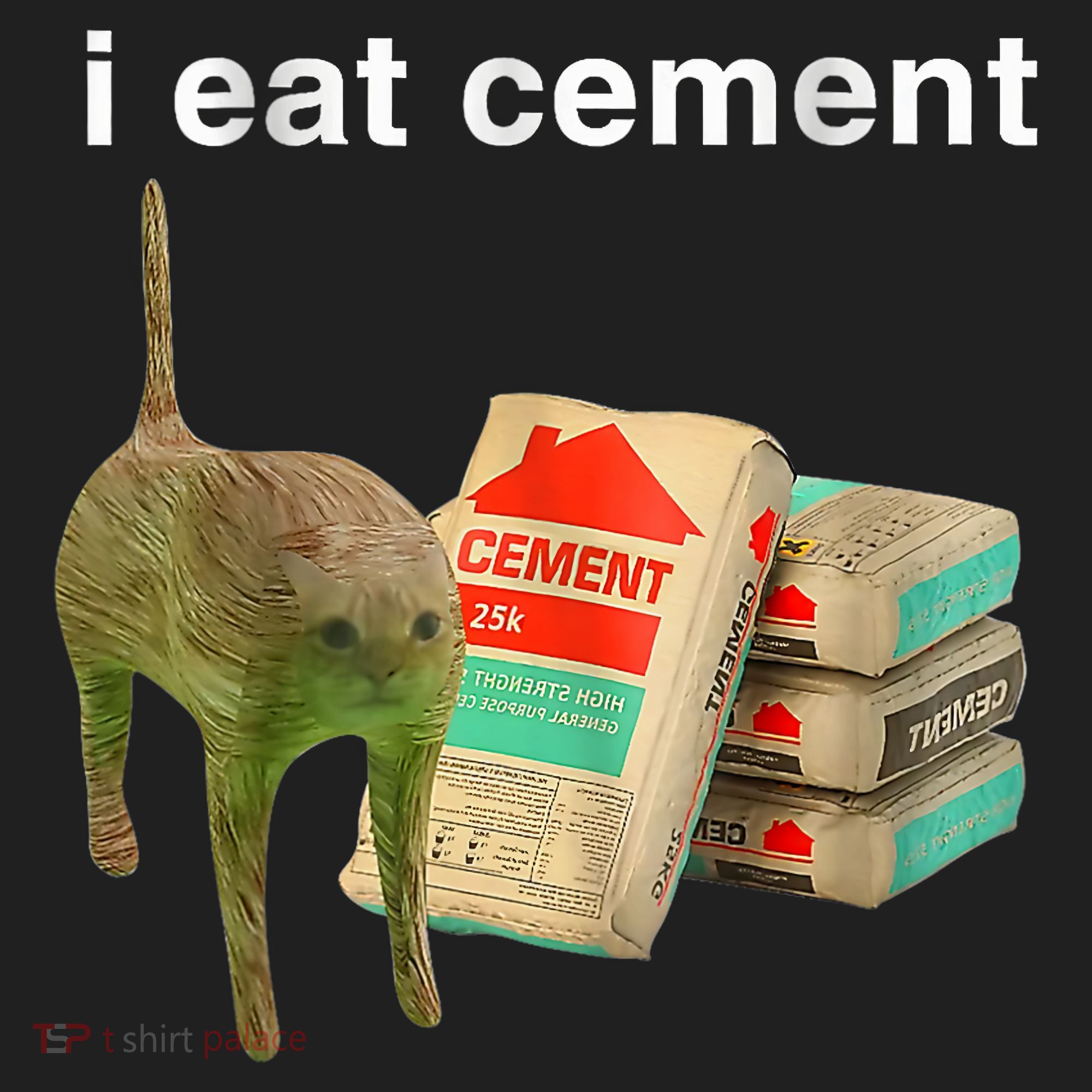 I Eat Cement Cursed Cat Funny Oddly Specific Dank Meme Beanie