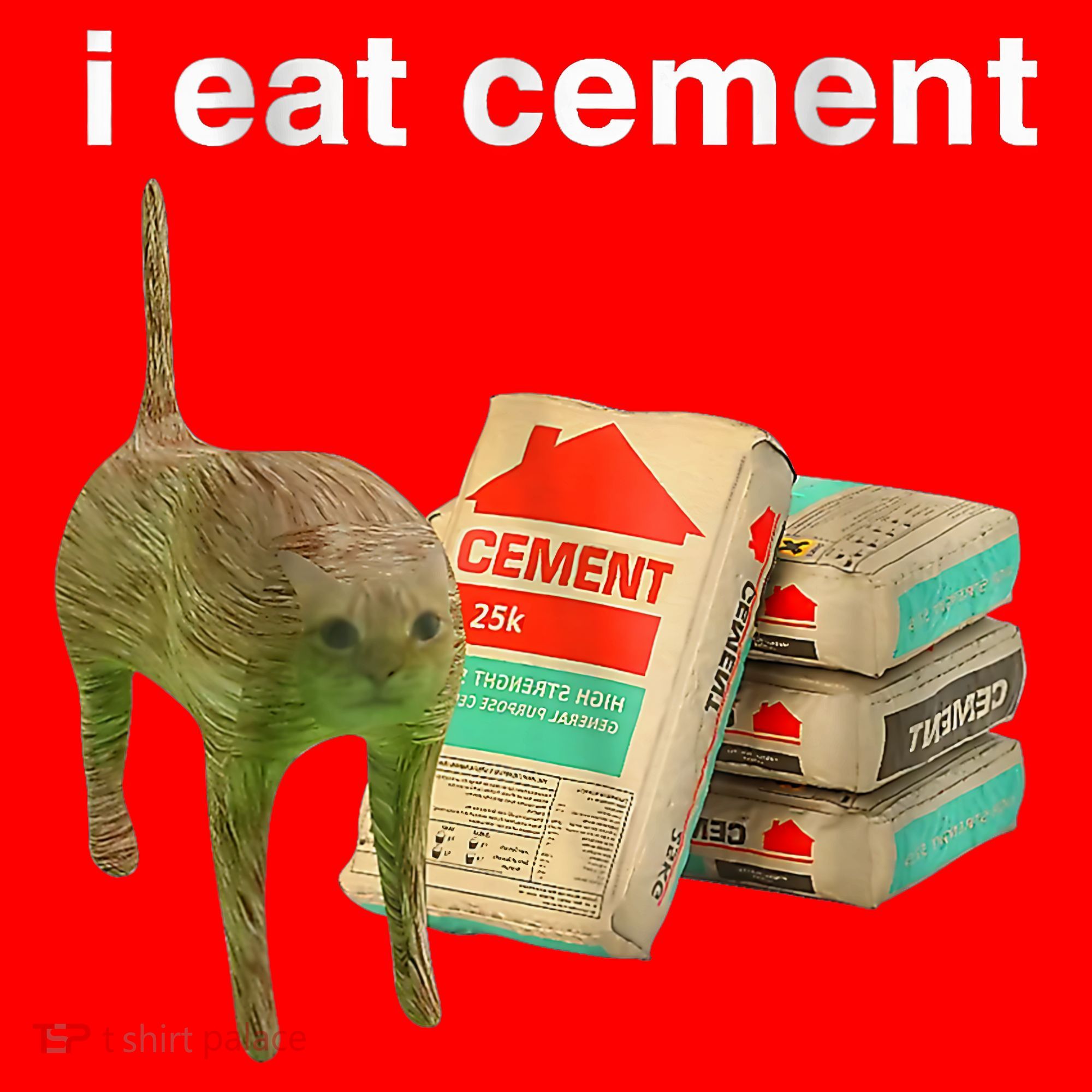 I Eat Cement Cursed Cat Funny Oddly Specific Dank Meme Santa Hat