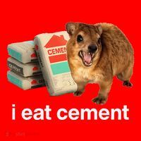 I Eat Cement Cursed Hyrax Funny Oddly Specific Dank Meme Santa Hat thumb 1