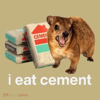 I Eat Cement Cursed Hyrax Funny Oddly Specific Dank Meme T-Shirt thumb 7