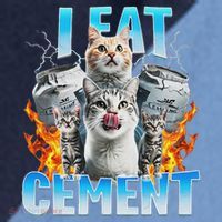 I Eat Cement Cursed Cat Funny Oddly Specific Dank Meme Raglan Baseball Sleeve Shirt thumb 2