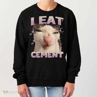 I Eat Cement Cursed Cat Funny Oddly Specific Dank Meme Women's Sweatshirt