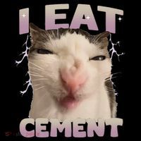I Eat Cement Cursed Cat Funny Oddly Specific Dank Meme Women's Hoodie thumb 2