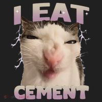 I Eat Cement Cursed Cat Funny Oddly Specific Dank Meme Hat thumb 2