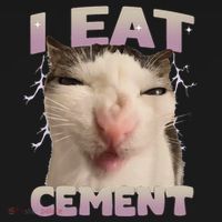 I Eat Cement Cursed Cat Funny Oddly Specific Dank Meme Women's Long Sleeve Shirt thumb 2