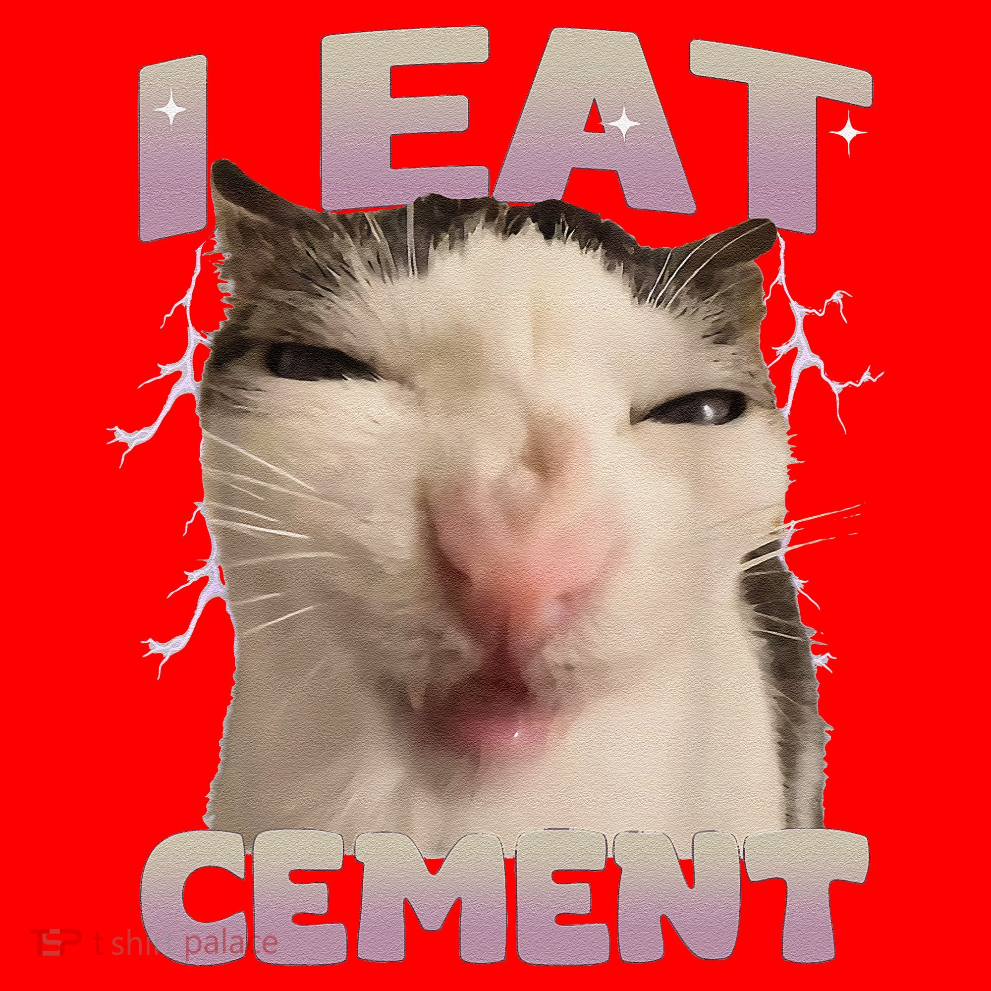 I Eat Cement Cursed Cat Funny Oddly Specific Dank Meme Santa Hat