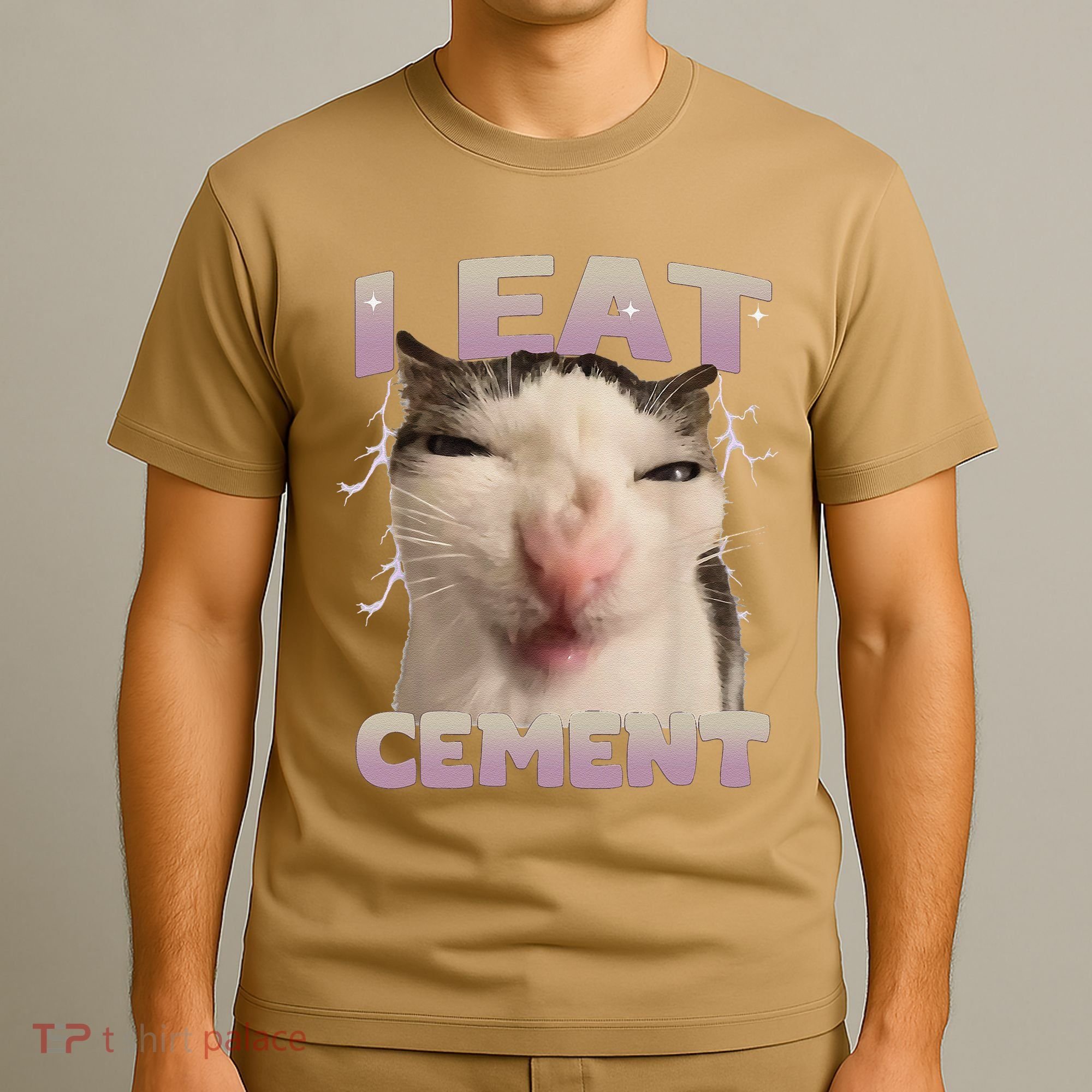 I Eat Cement Cursed Cat Funny Oddly Specific Dank Meme T-Shirt
