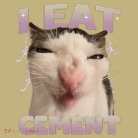 I Eat Cement Cursed Cat Funny Oddly Specific Dank Meme Button thumb 1