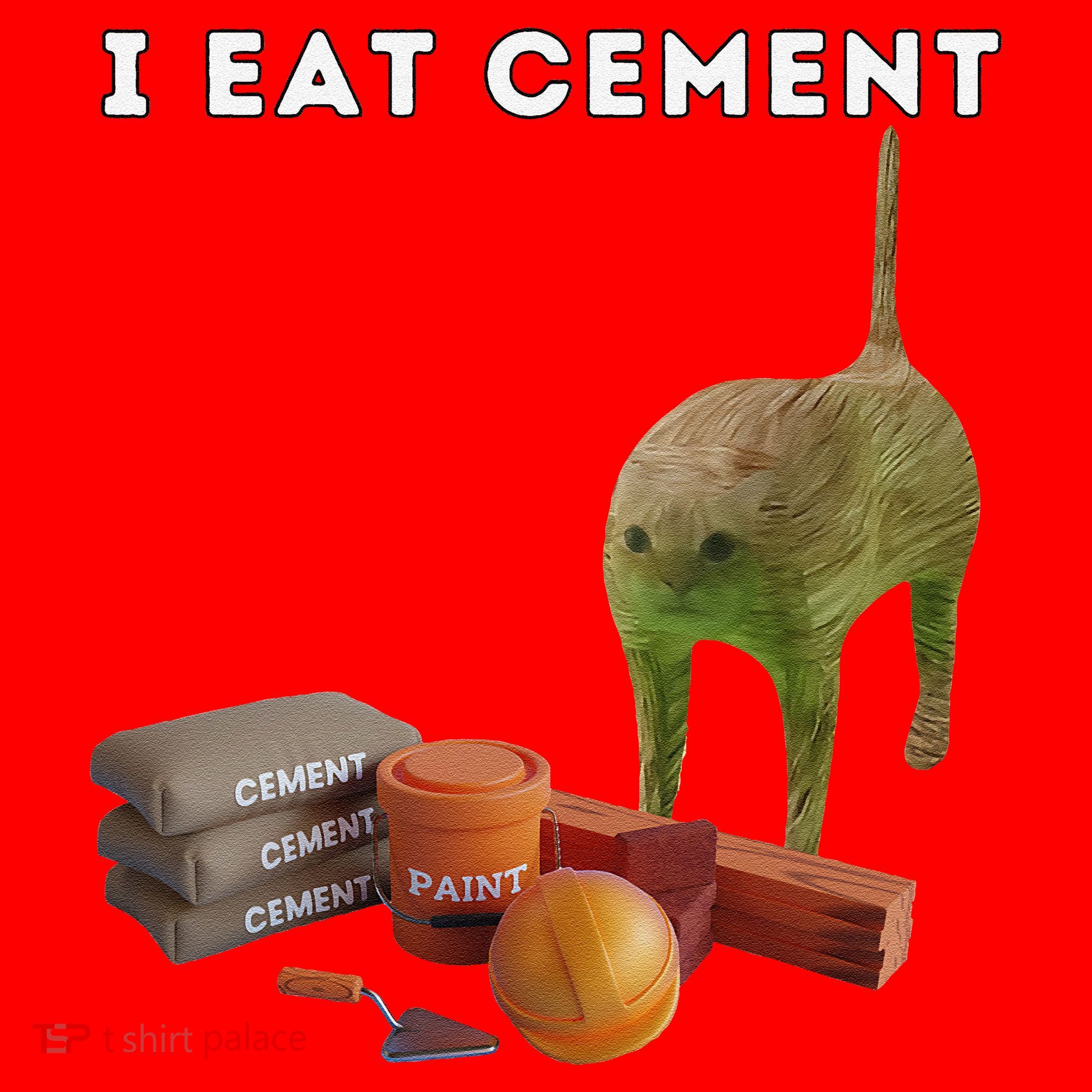 I Eat Cement Funny Cat Cursed Oddly Specific Dank Meme Santa Hat