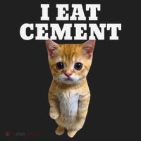 I Eat Cement Cat Meme Beanie thumb 2