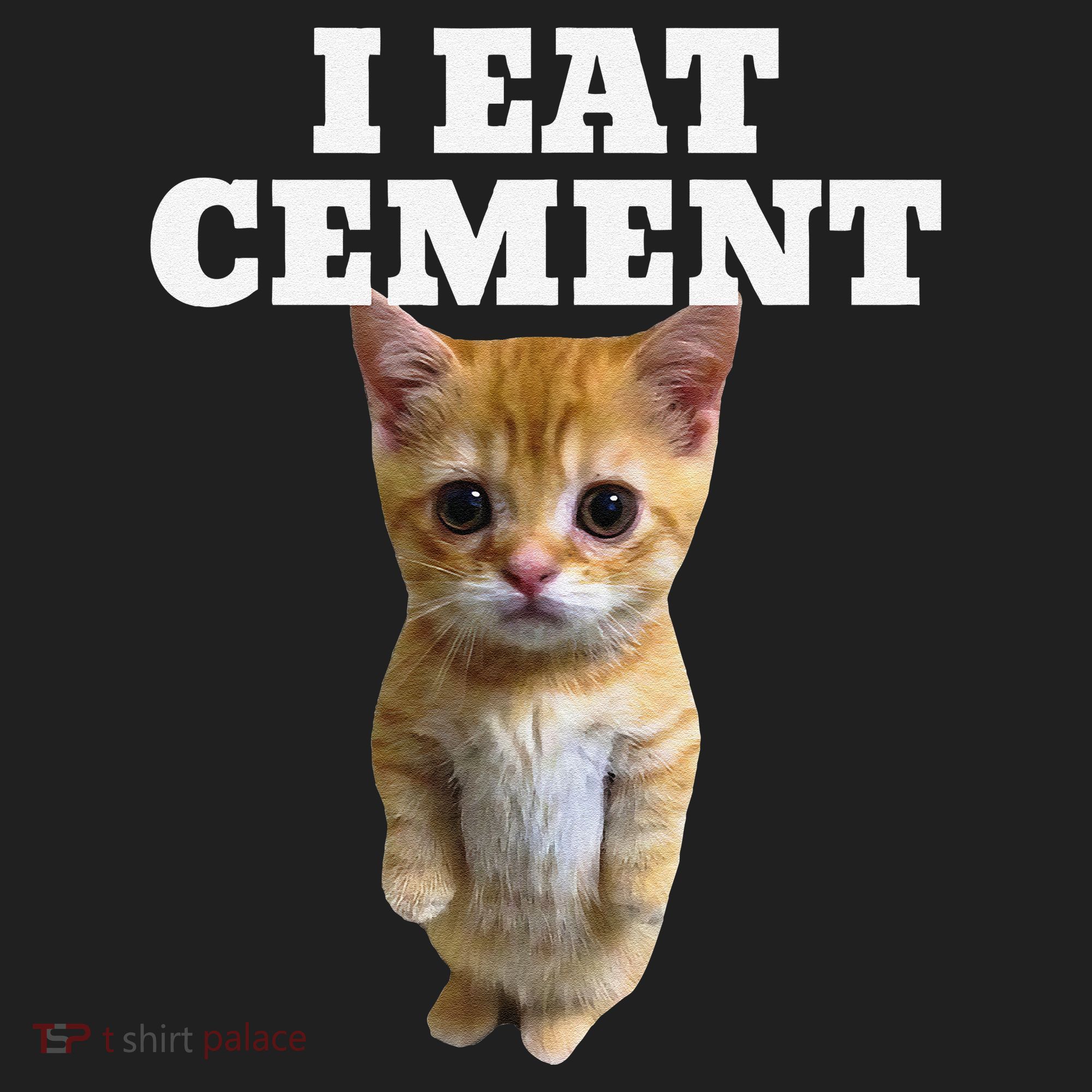 I Eat Cement Cat Meme Tumbler