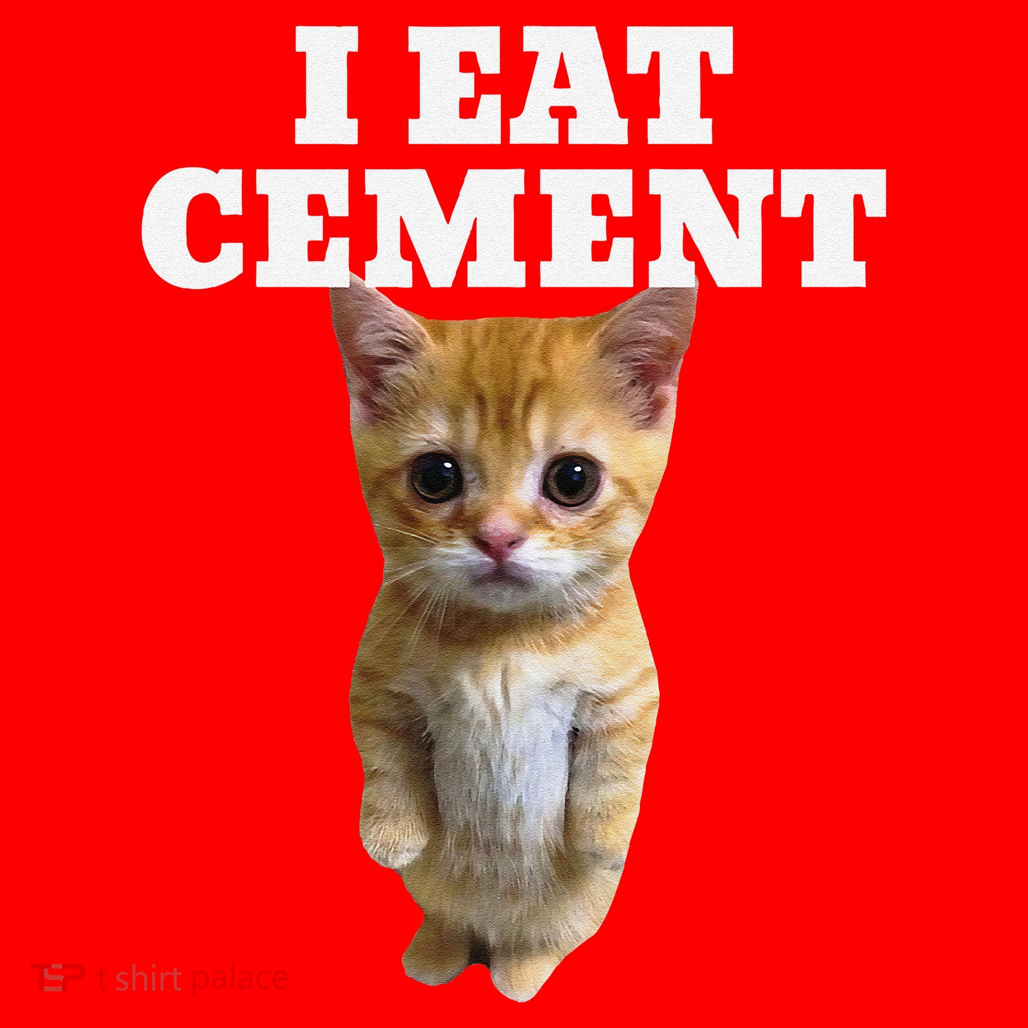 I Eat Cement Cat Meme Santa Hat