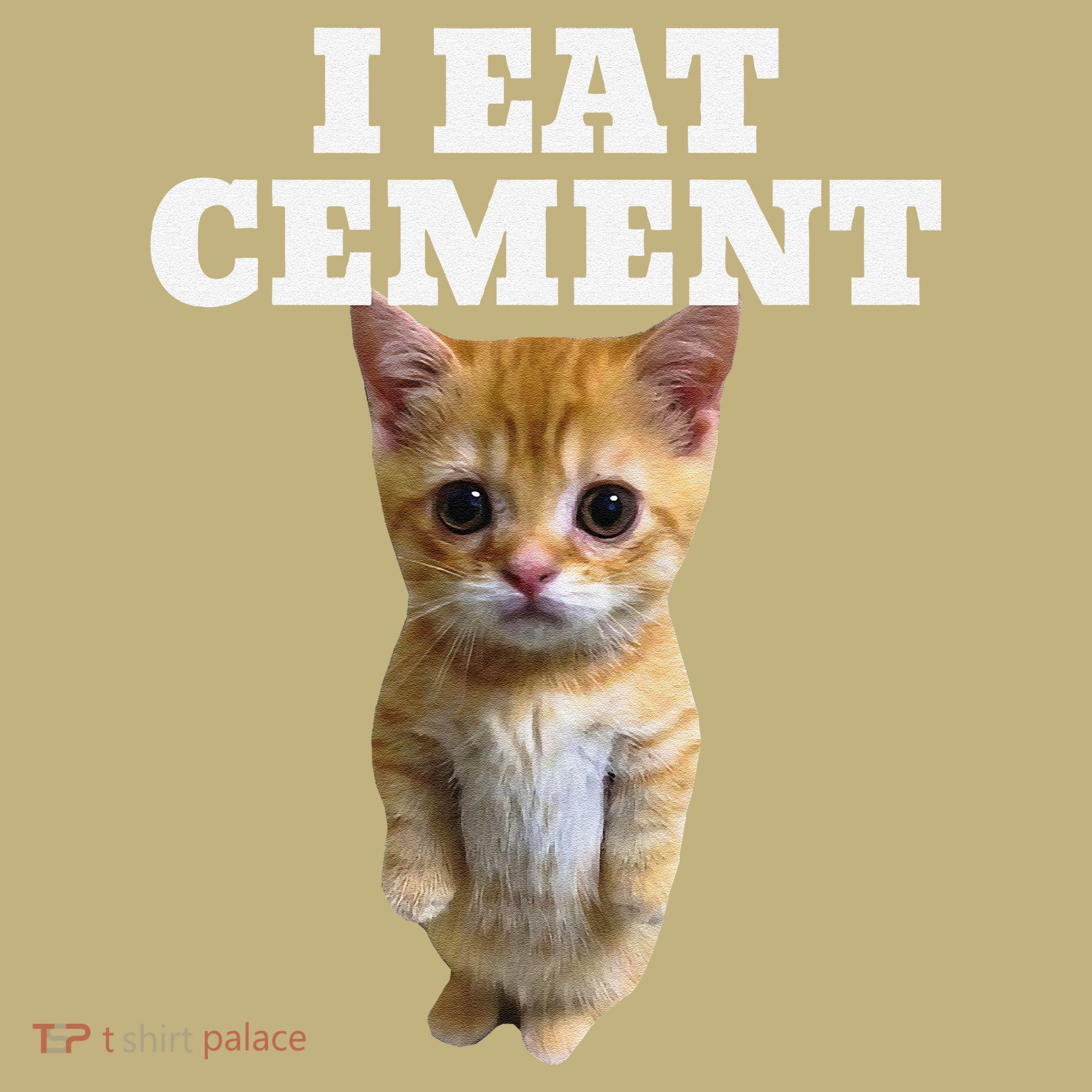 I Eat Cement Cat Meme Kids T-Shirt