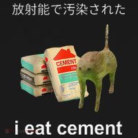 I Eat Cement Cat Japanese Meme Cat Oddly Specific Weired Women's Hoodie thumb 2