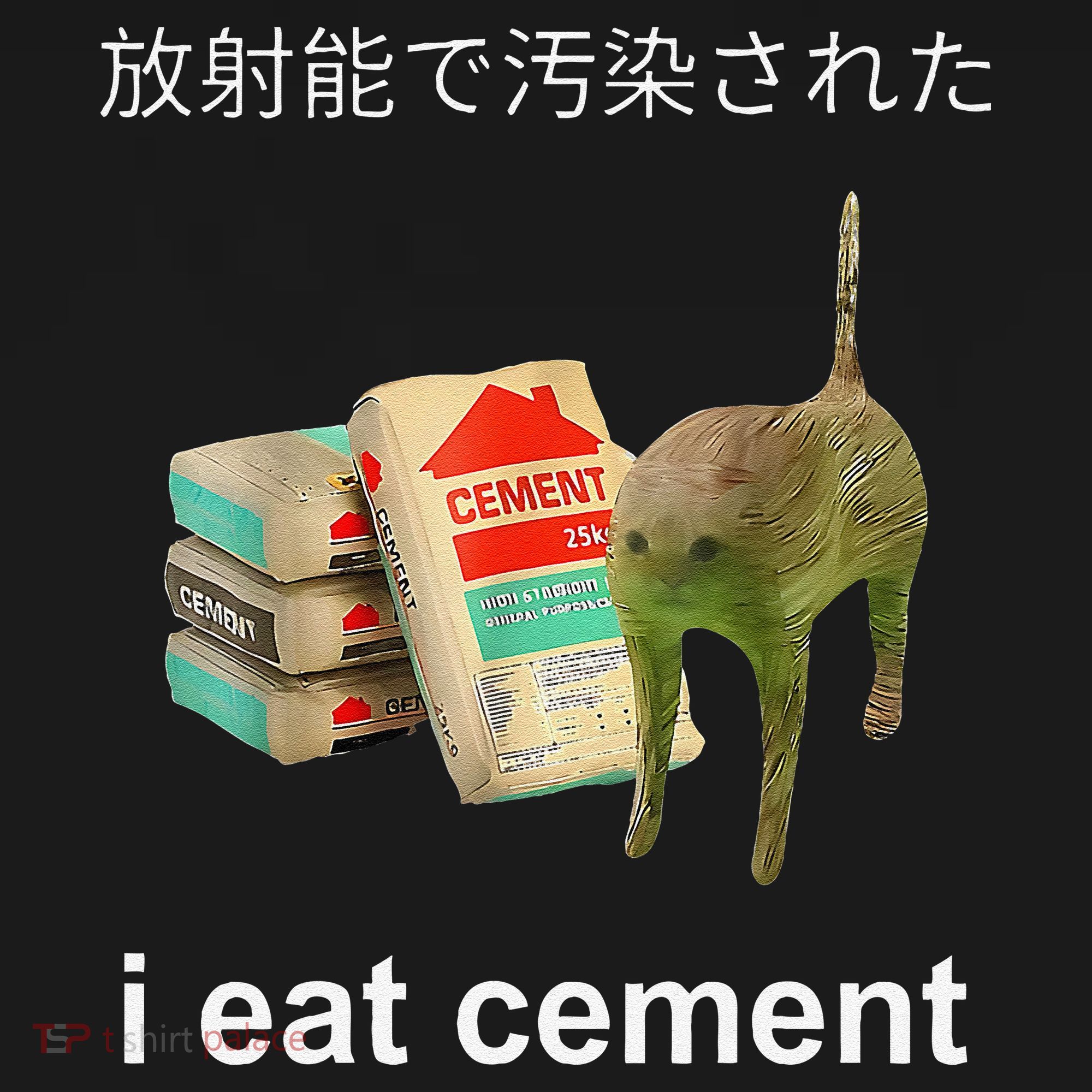 I Eat Cement Cat Japanese Meme Cat Oddly Specific Weired Women's Hoodie