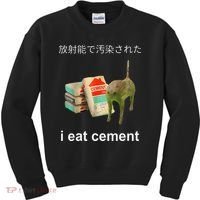 I Eat Cement Cat Japanese Meme Cat Oddly Specific Weired Kids Sweatshirt thumb 0