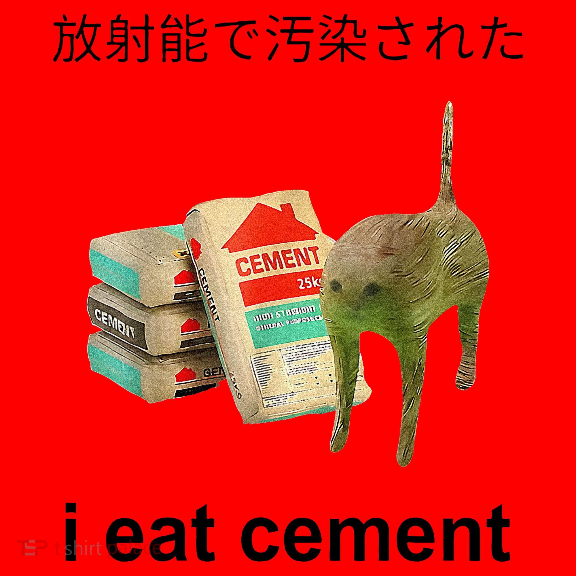 I Eat Cement Cat Japanese Meme Cat Oddly Specific Weired Santa Hat