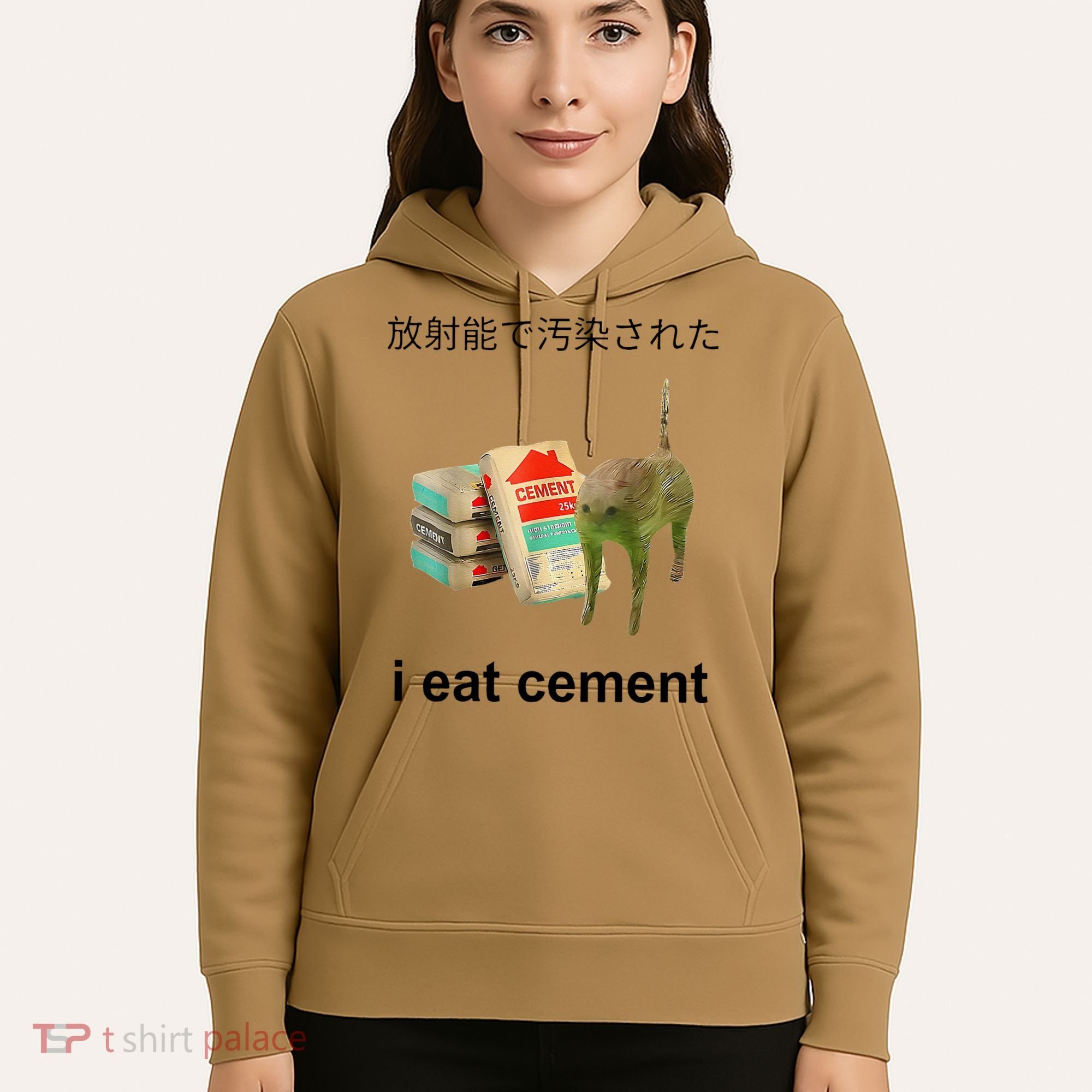 I Eat Cement Cat Japanese Meme Cat Oddly Specific Weired Hoodie