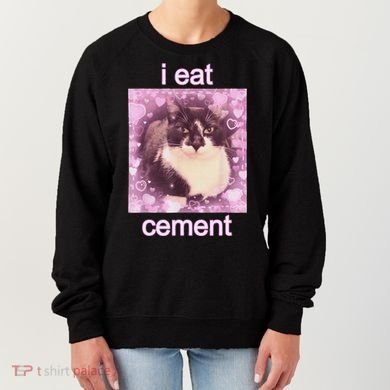 I Eat Cement Cursed Cat Funny Oddly Specific Dank Meme Women's Sweatshirt