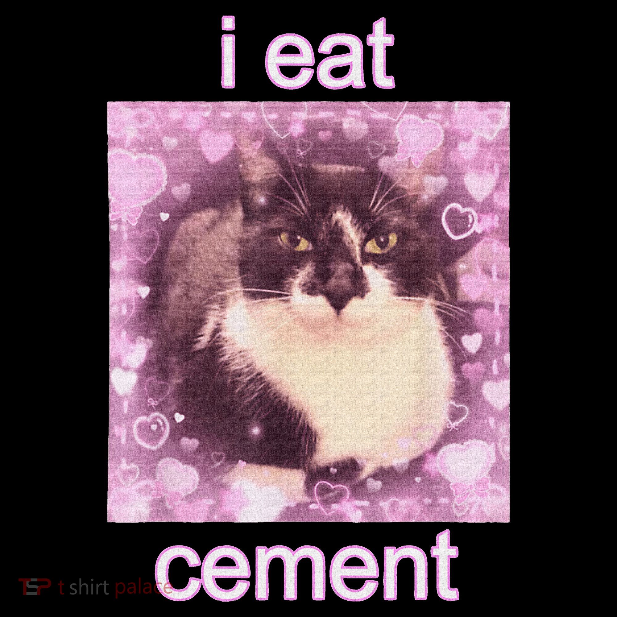 I Eat Cement Cursed Cat Funny Oddly Specific Dank Meme Hoodie