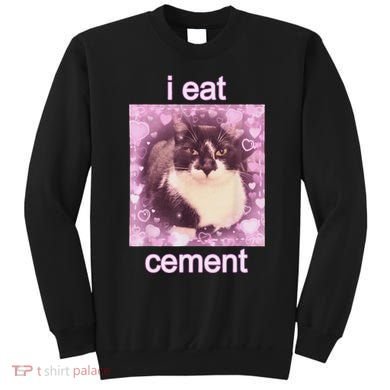 I Eat Cement Cursed Cat Funny Oddly Specific Dank Meme Sweatshirt