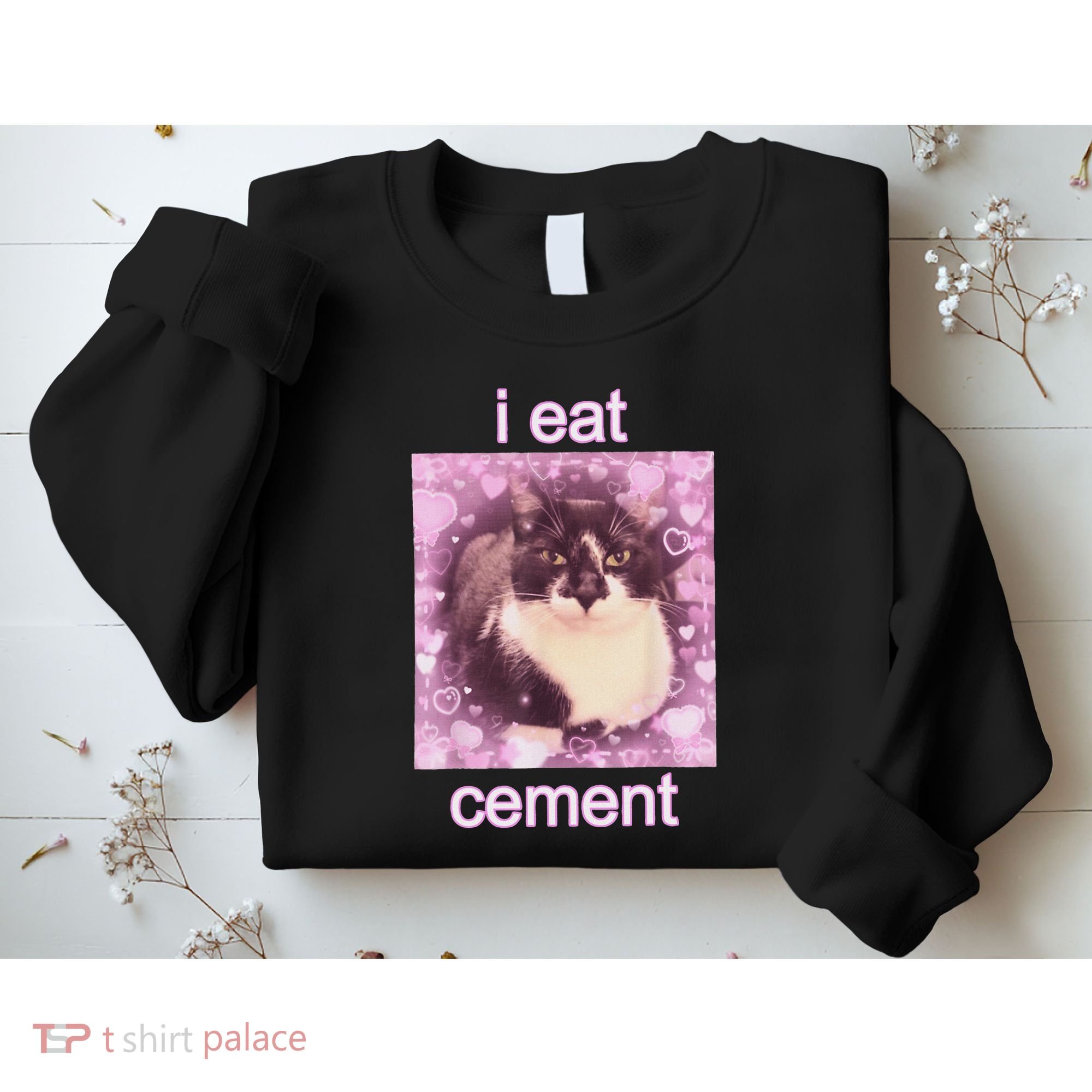 I Eat Cement Cursed Cat Funny Oddly Specific Dank Meme Sweatshirt