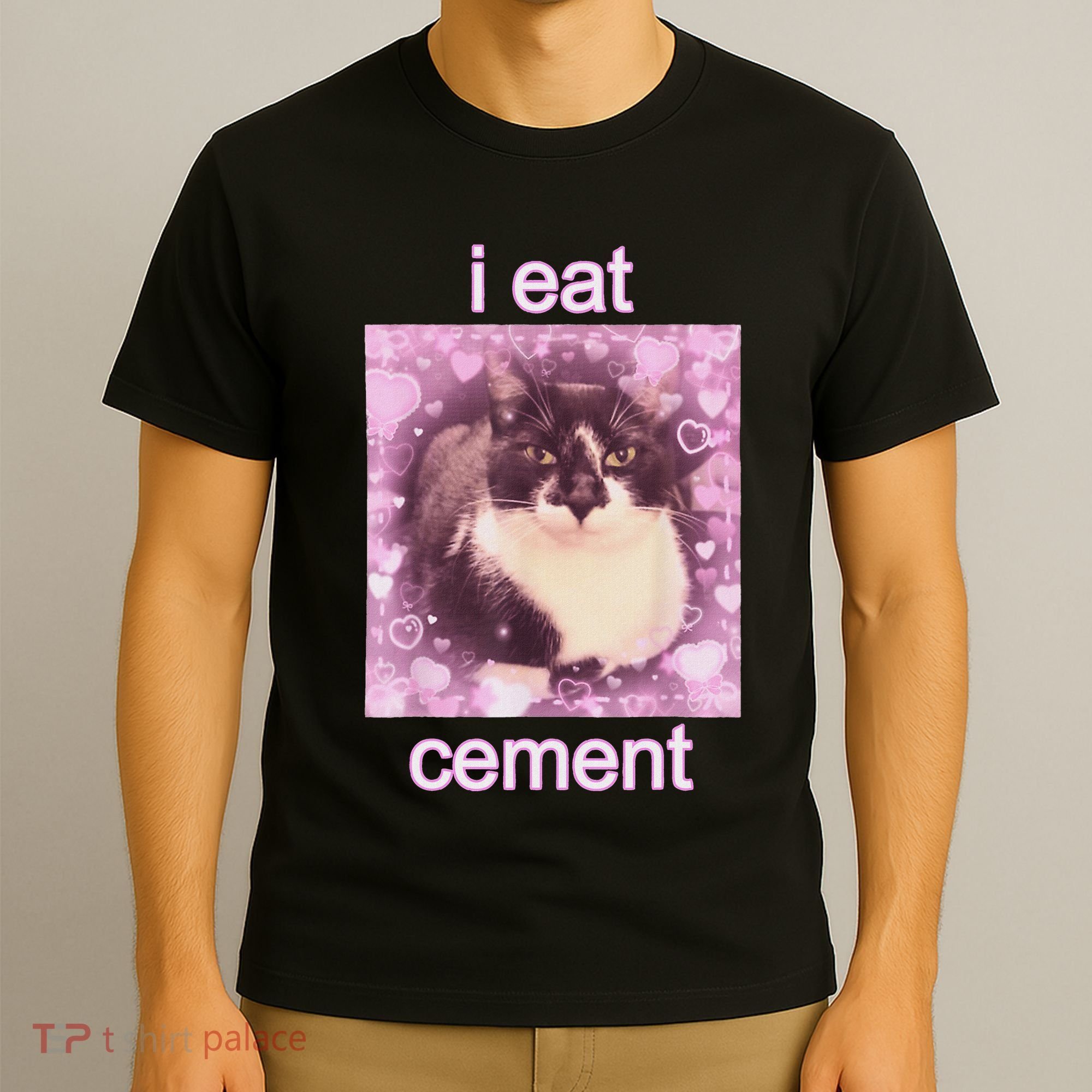 I Eat Cement Cursed Cat Funny Oddly Specific Dank Meme T-Shirt