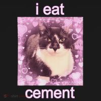 I Eat Cement Cursed Cat Funny Oddly Specific Dank Meme T-Shirt thumb 7
