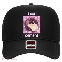 I Eat Cement Cursed Cat Funny Oddly Specific Dank Meme Hat thumb 0