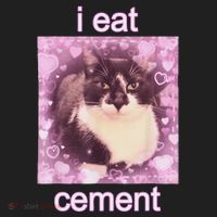 I Eat Cement Cursed Cat Funny Oddly Specific Dank Meme Hat thumb 2