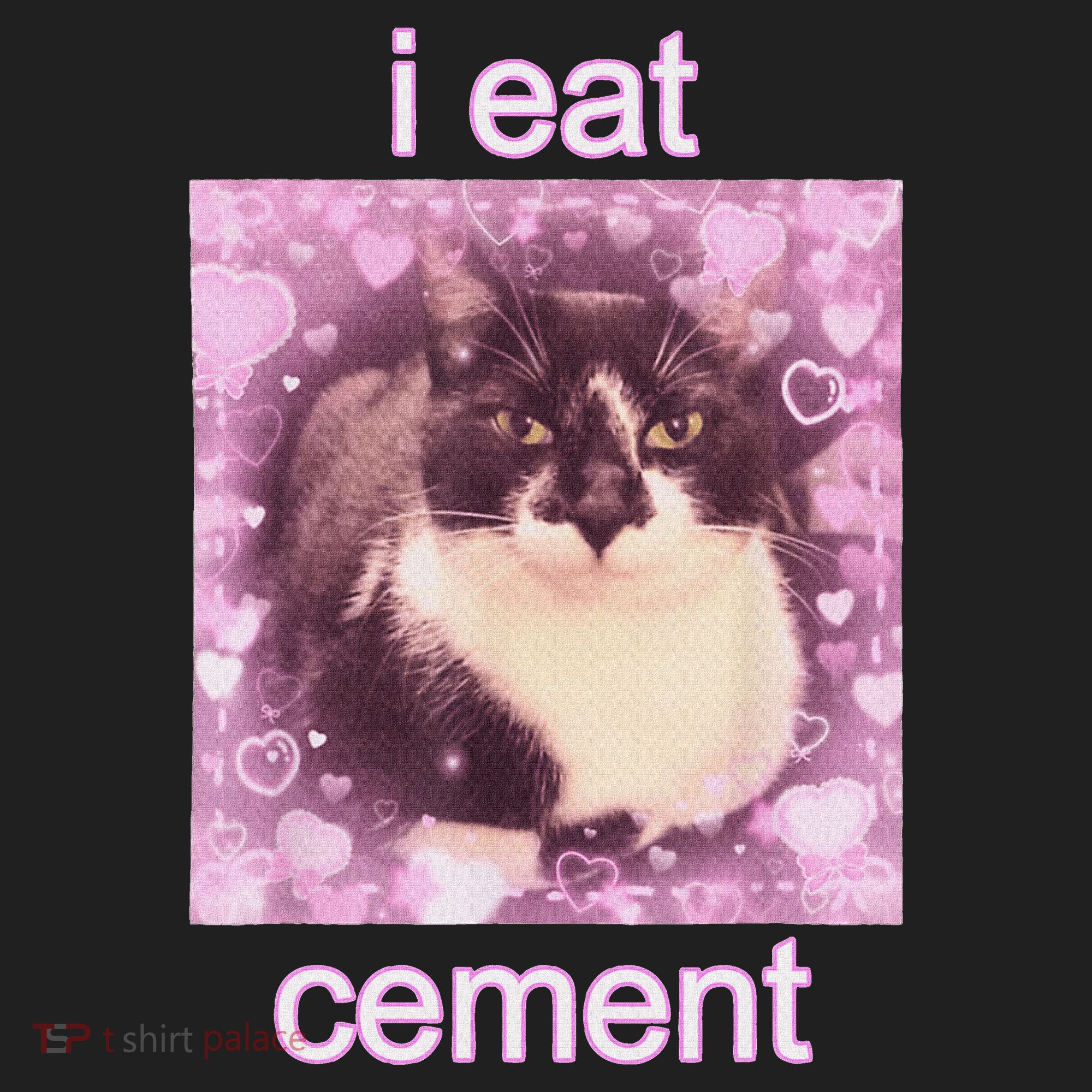 I Eat Cement Cursed Cat Funny Oddly Specific Dank Meme Hat