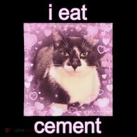 I Eat Cement Cursed Cat Funny Oddly Specific Dank Meme Tank Top thumb 6