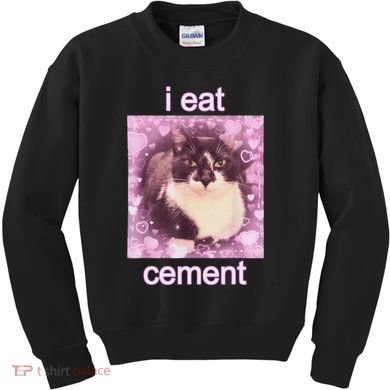 I Eat Cement Cursed Cat Funny Oddly Specific Dank Meme Kids Sweatshirt