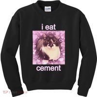 I Eat Cement Cursed Cat Funny Oddly Specific Dank Meme Kids Sweatshirt thumb 0