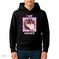 I Eat Cement Cursed Cat Funny Oddly Specific Dank Meme Kids Hoodie thumb 4