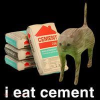 I Eat Cement Cursed Cat USA-Made Doggie Bandana thumb 2