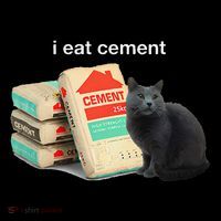 I Eat Cement Cursed Black Cat Funny Dank Meme Women's T-Shirt thumb 6