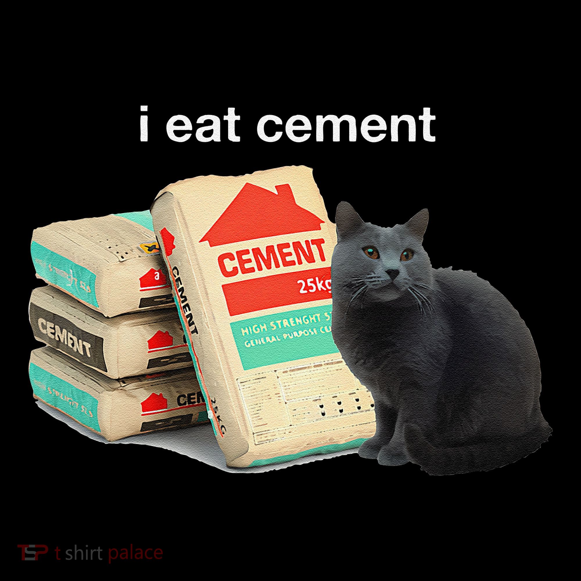 I Eat Cement Cursed Black Cat Funny Dank Meme Kids Sweatshirt