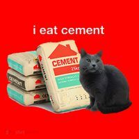 I Eat Cement Cursed Black Cat Funny Dank Meme Santa Hat thumb 1