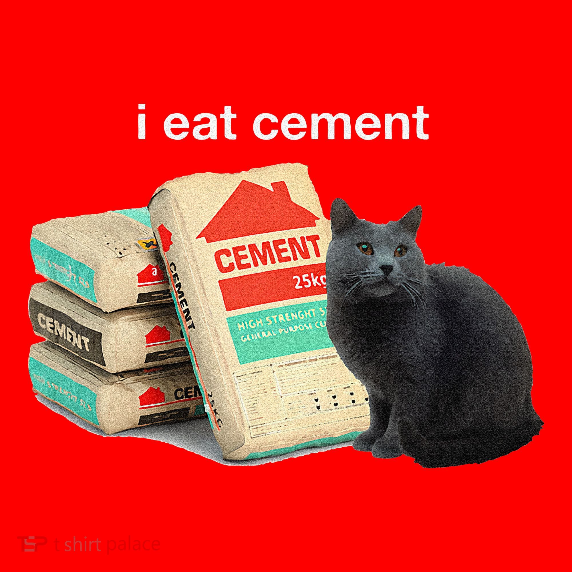 I Eat Cement Cursed Black Cat Funny Dank Meme Santa Hat