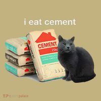 I Eat Cement Cursed Black Cat Funny Dank Meme Hoodie thumb 7