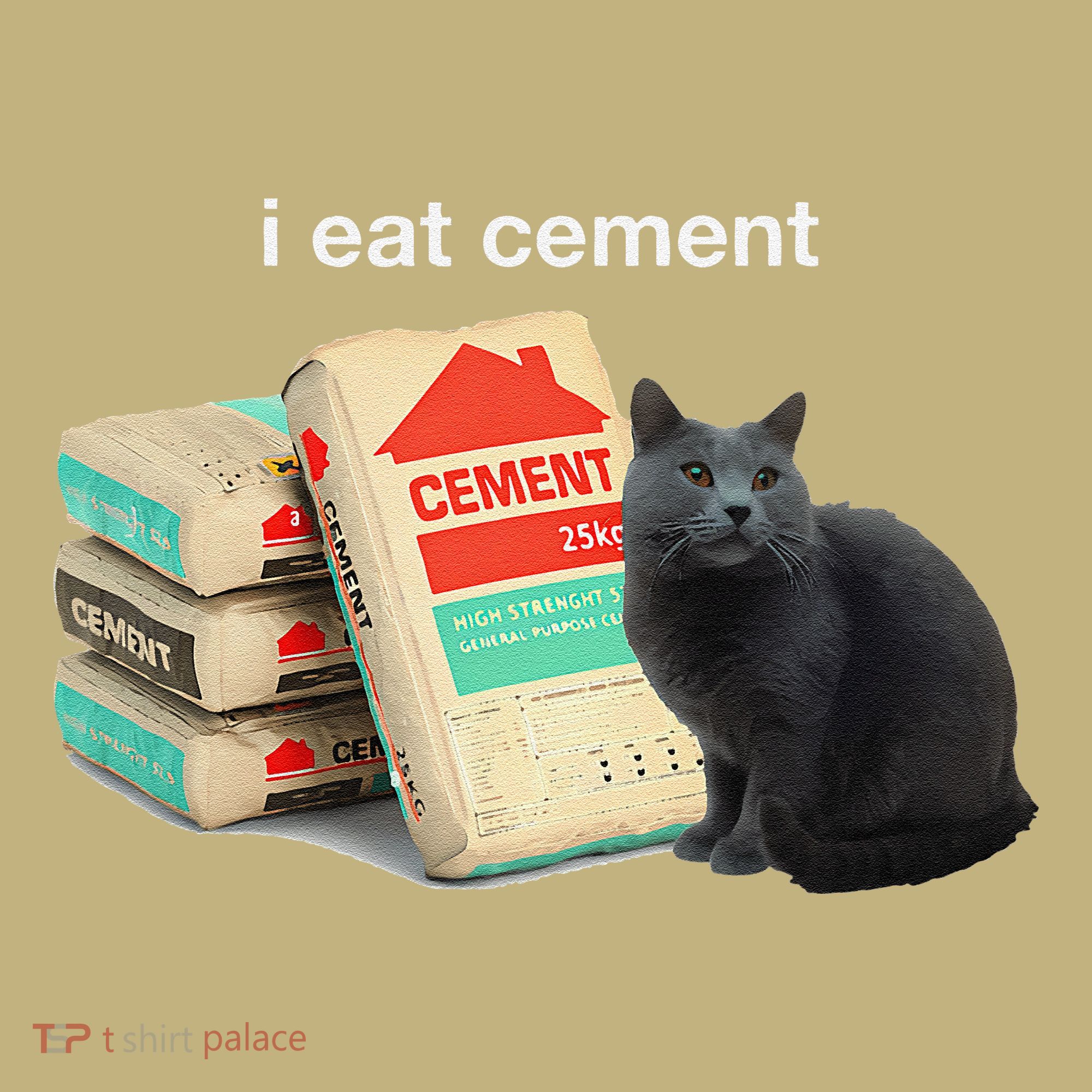 I Eat Cement Cursed Black Cat Funny Dank Meme Hoodie