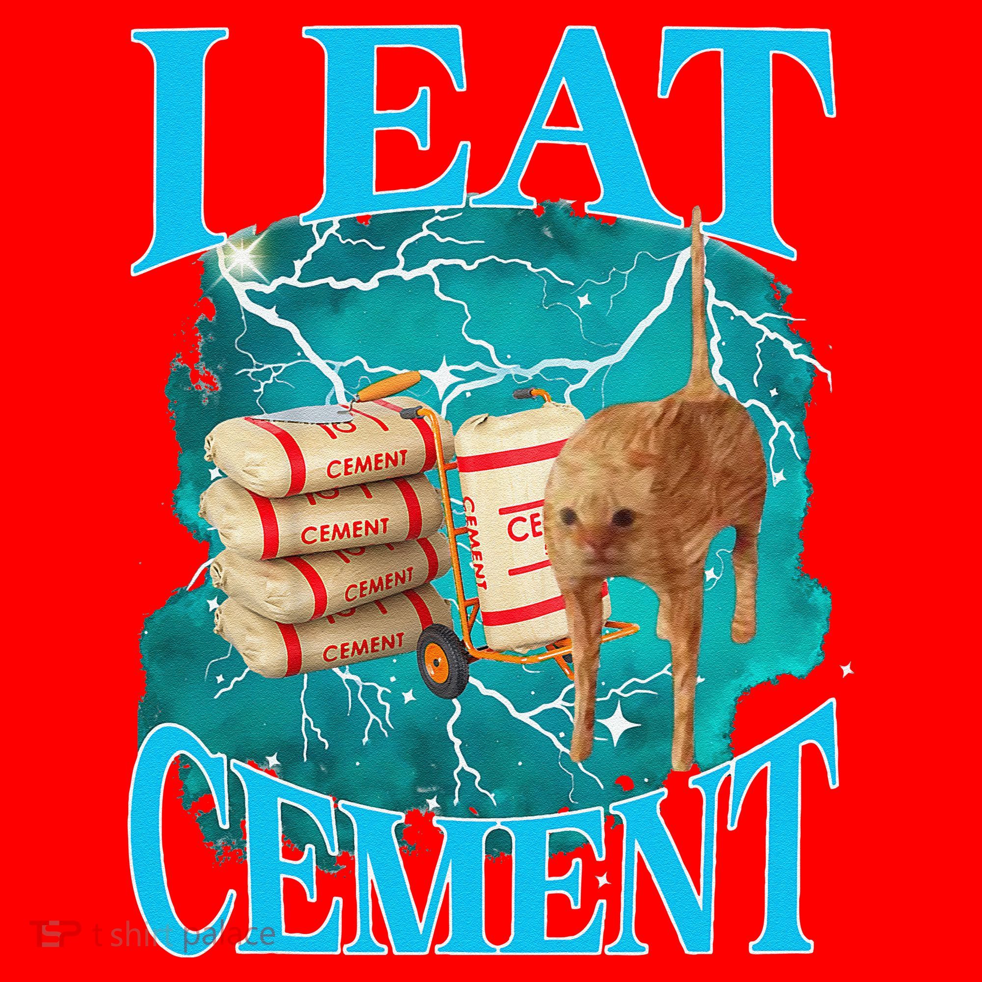 I Eat Cement Cursed Cat Funny Oddly Specific Dank Meme Santa Hat
