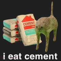I Eat Cement Cursed Cat Funny Oddly Specific Meme Beanie thumb 2
