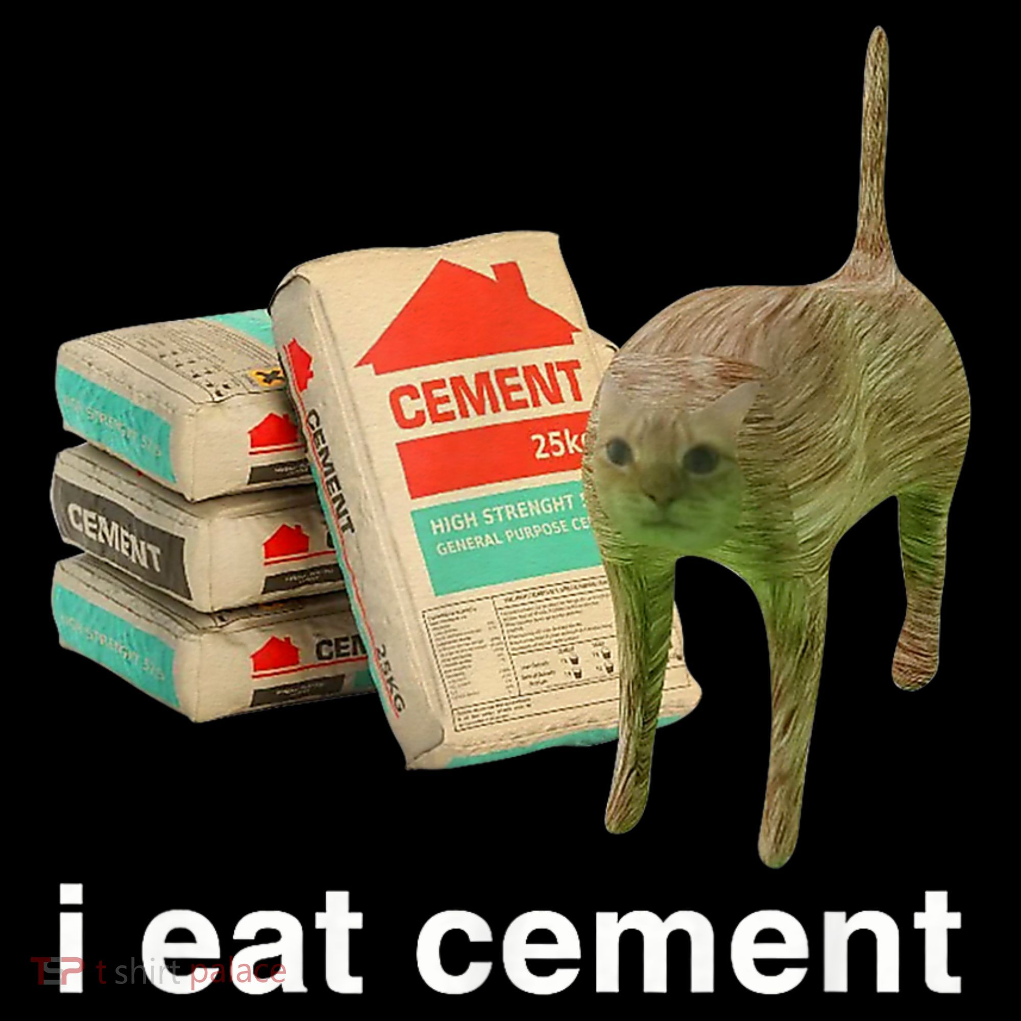 I Eat Cement Cursed Cat Funny Oddly Specific Meme Women's Long Sleeve Shirt