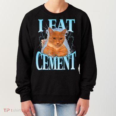 I Eat Cement Cursed Cat Funny Oddly Specific Dank Meme Women's Sweatshirt