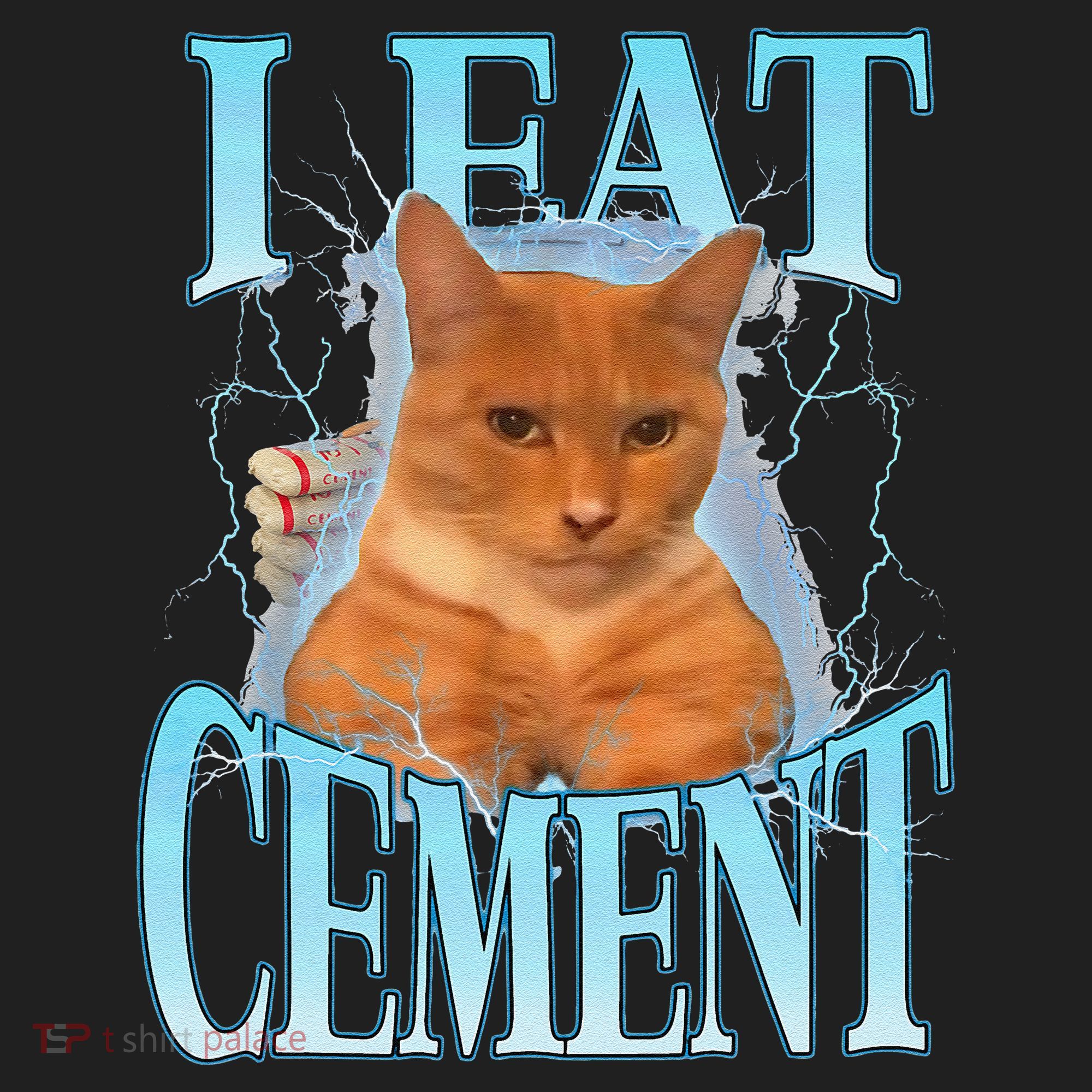 I Eat Cement Cursed Cat Funny Oddly Specific Dank Meme Women's Sweatshirt