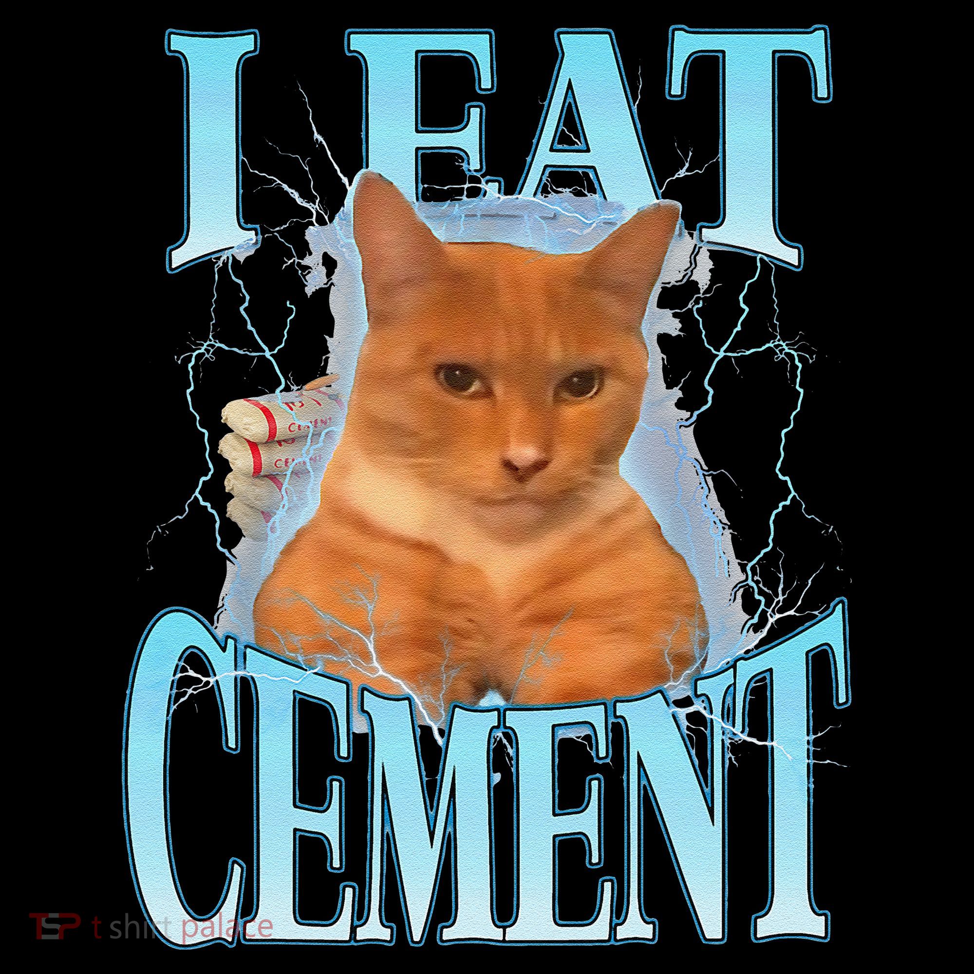 I Eat Cement Cursed Cat Funny Oddly Specific Dank Meme Women's Hoodie