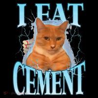 I Eat Cement Cursed Cat Funny Oddly Specific Dank Meme Baby Bodysuit thumb 2