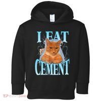 I Eat Cement Cursed Cat Funny Oddly Specific Dank Meme Toddler Hoodie thumb 0
